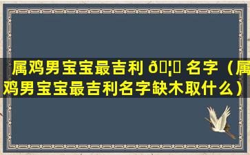 属鸡男宝宝最吉利 🦁 名字（属鸡男宝宝最吉利名字缺木取什么）